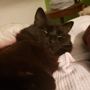 Meet your Posher, Ares